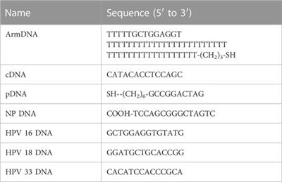 Photoelectrochemical biosensor based on SiW12@CdS quantum dots for the highly sensitive detection of HPV 16 DNA